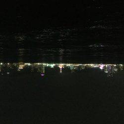 ひとりぼっちでタチウオ釣行