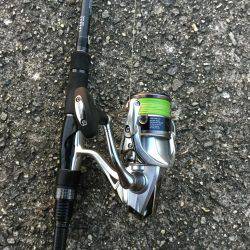 タチウオ釣れました