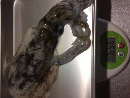 シブいですね(>_<)