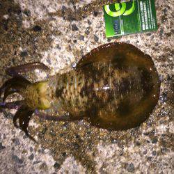 久しぶりの遠征