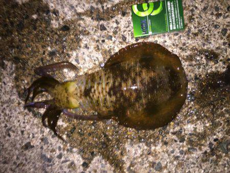 久しぶりの遠征