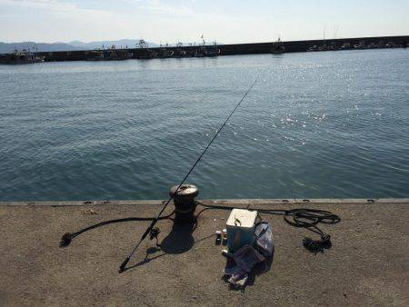 ハゼのミリョク