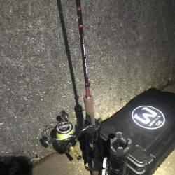 どこでも釣れる。