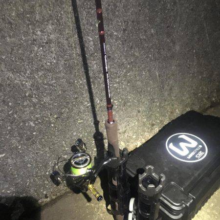 どこでも釣れる。