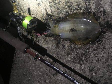 タチウオ釣りの隣にて