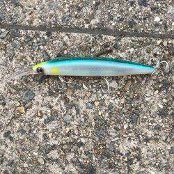 松村渡船でポーアイ沖堤防