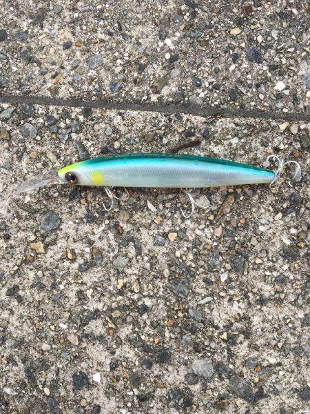 松村渡船でポーアイ沖堤防