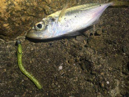 意外とシブかった(･･;)