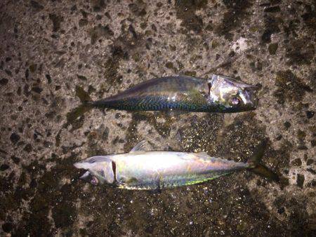 デカサバゲット！