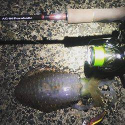 順調に育ってます❗️