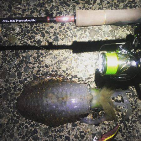 順調に育ってます❗️