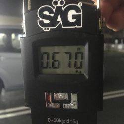 デイエギング最高❗️