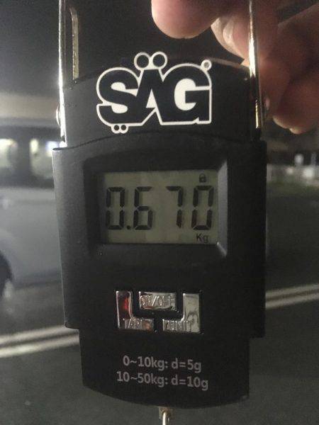 デイエギング最高❗️