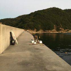 サヨリが入れ食い