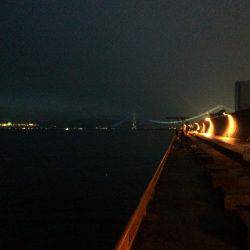 チャリコで平磯カゴデビュー