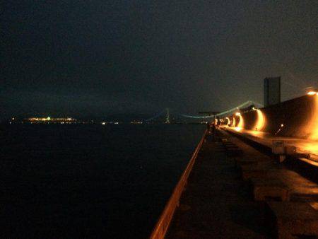 チャリコで平磯カゴデビュー