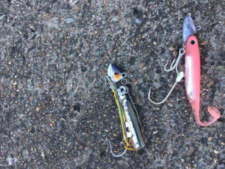 朝まずめ☆太刀魚