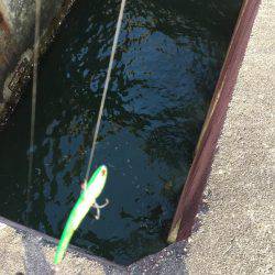 台風後の南港新波止