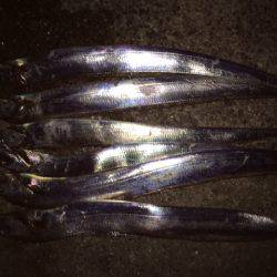 ドラゴンまではいきませんでしたが