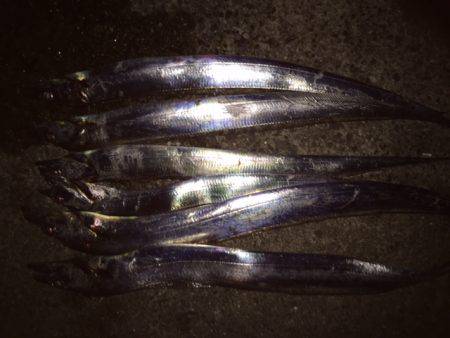 ドラゴンまではいきませんでしたが