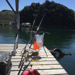 初浜栄丸さんの筏釣り