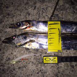 太くて短かい（笑）