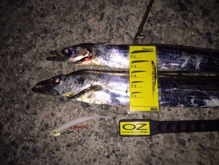 太くて短かい（笑）