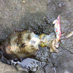 久しぶりに連チャン