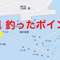 上天草での投げ釣りの釣果