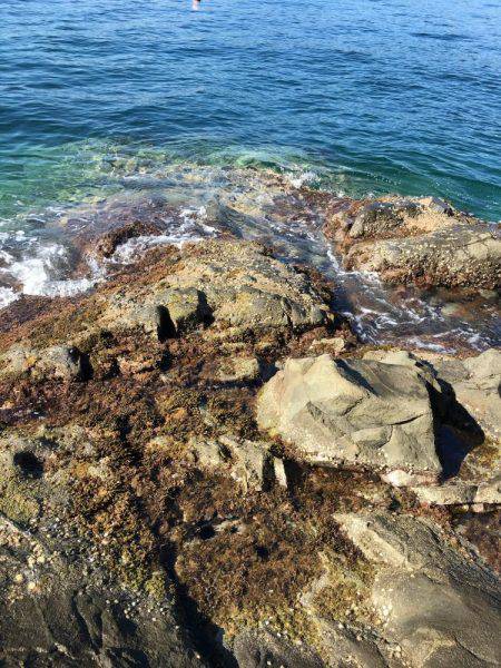 今期一番…渋い