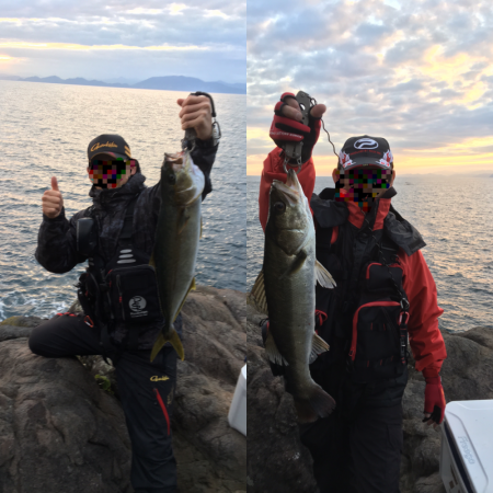 磯トップゲーム