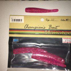 朝マズメ、タチウオ