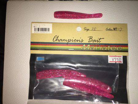 朝マズメ、タチウオ