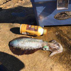 アベレージが良い