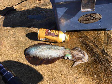 アベレージが良い