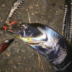 今季初のポイントに