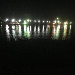 ようやく姫路でタチウオゲット！！