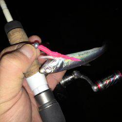 雨上がりのアジング