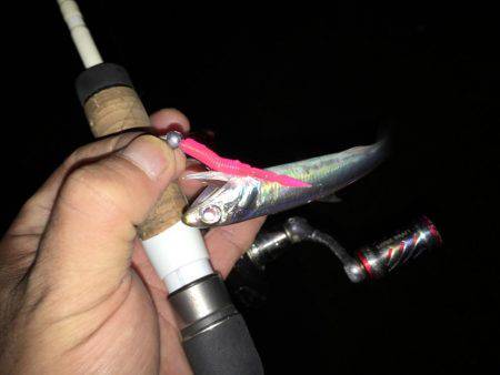 雨上がりのアジング