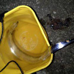 カンパチ＆タチウオ