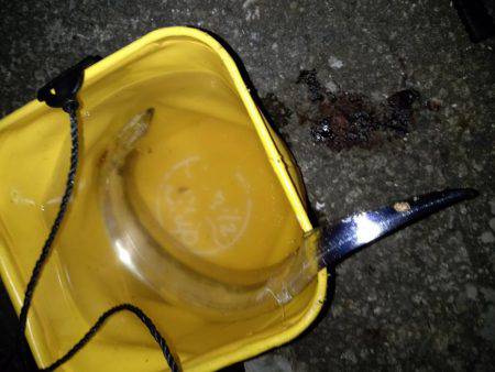 カンパチ＆タチウオ