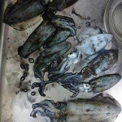 風強かったけど