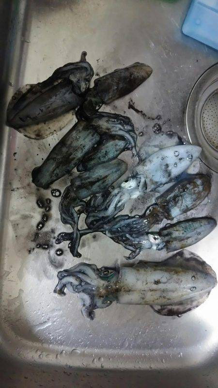 風強かったけど