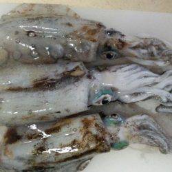 エギング苦しみました2