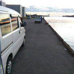 中浦緑地公園テンヤでタチウオ