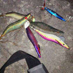 太刀魚がぁ～邪魔する