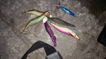 太刀魚がぁ～邪魔する