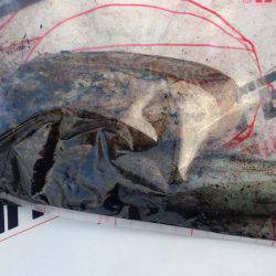 淡路島釣行苦戦しました。