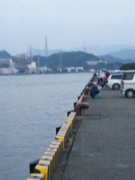 大潟岸壁テンヤでタチウオ