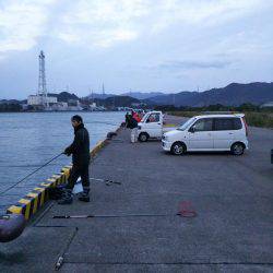 大潟岸壁テンヤでタチウオ&サゴシ